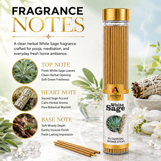 The Aroma Factory White Sage Agarbatti – Natural Herbal Incense Sticks for Pooja | 0% Charcoal, Low Smoke, Long Lasting Fragrance | 9-Inch Premium Agarbatti (100g Bottle Pack)