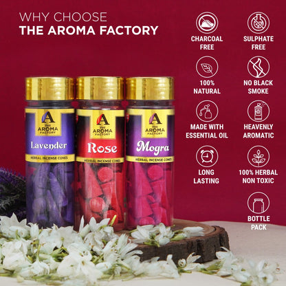 The Aroma Factory Incense Cone Set (Rose, Lavender, Mogra, Kesar Chandan, Fresh Active) Dhoop Cones, Pack of 5 x 30 Cones
