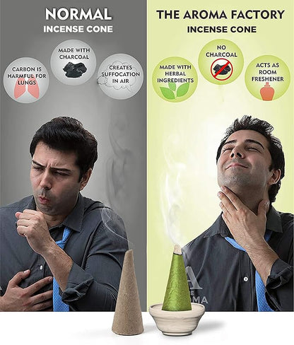 The Aroma Factory Incense Cone Set (Green Apple, Pineapple, Fresh Active, White Sage, Musk) Dhoop Cones, Pack of 5 x 30 Cones