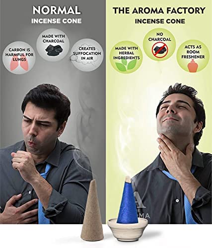 The Aroma Factory Kesar Chandan Incense Cone (0% Charcoal 0% Suphates Saffron Sandal Herbal Dhoop) Free Holder Bottle Pack, 30 Cones